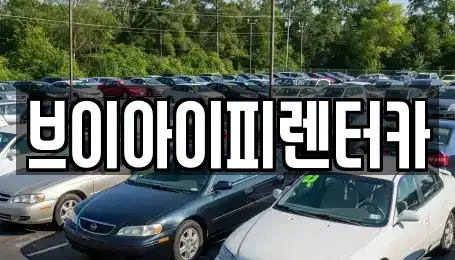 경기도 용인시 기흥구 농서동 렌트카 전문 브이아이피렌터카