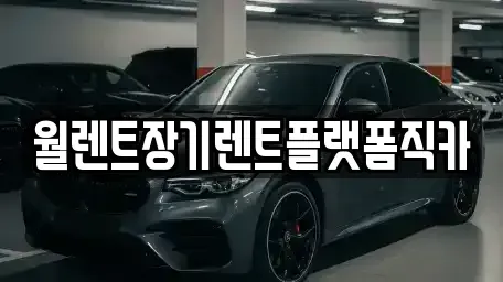 경기도 용인시 기흥구 농서동 장기렌트카 전문 월렌트장기렌트플랫폼직카