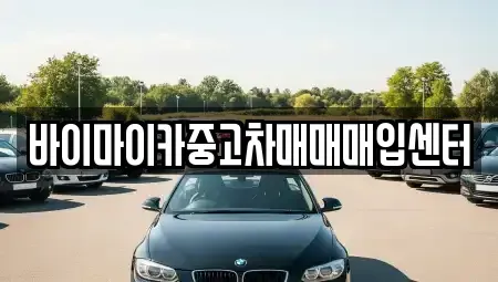 경기도 용인시 기흥구 농서동 중고차 전문 바이마이카중고차매매매입센터