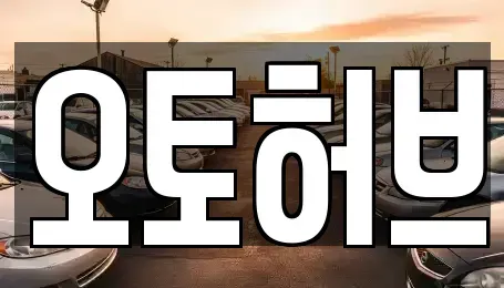 경기도 용인시 기흥구 영덕동 중고차 전문 오토허브