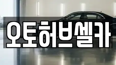 경기도 용인시 기흥구 영덕동 중고차 전문 오토허브셀카