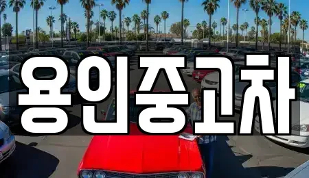경기도 용인시 기흥구 하갈동 중고차매매 전문 용인중고차