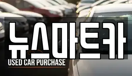 경기도 용인시 처인구 남동 중고차 전문 뉴스마트카