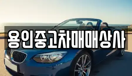 경기도 용인시 처인구 남동 중고차 전문 용인중고차매매상사