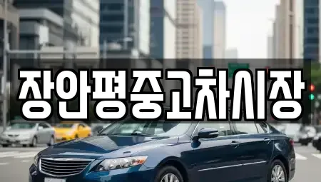 경기도 용인시 처인구 남동 중고차 전문 장안평중고차시장