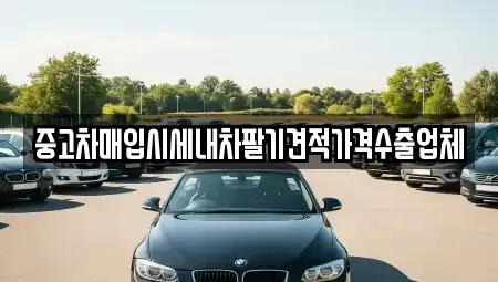 경기도 용인시 처인구 남동 중고차매입 전문 중고차매입시세내차팔기견적가격수출업체