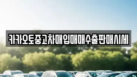경기도 용인시 처인구 남동 중고차매입 전문 카카오토중고차매입매매수출판매시세