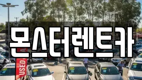 경기도 용인시 처인구 양지면 렌트카 전문 몬스터렌트카