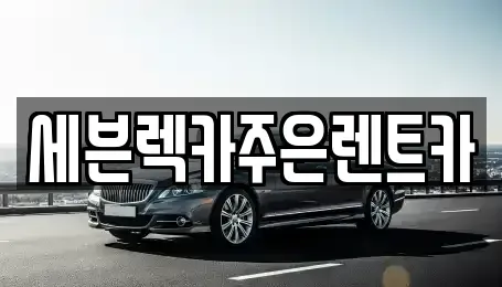 경기도 용인시 처인구 양지면 렌트카 전문 세븐렉카주은렌트카