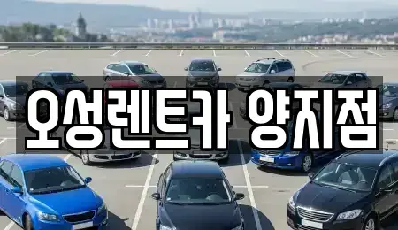 경기도 용인시 처인구 양지면 렌트카 전문 오성렌트카 양지점