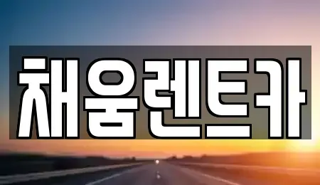 경기도 용인시 처인구 양지면 렌트카 전문 채움렌트카