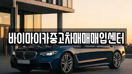 경기도 용인시 처인구 양지면 중고차 전문 바이마이카중고차매매매입센터