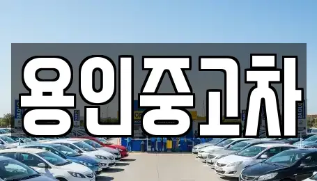 경기도 용인시 처인구 양지면 중고차,렌트카,중고차매입,중고차매매,장기렌트카,단기렌트카