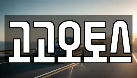 경기도 의왕시 월암동 렌트카 전문 고고오토스