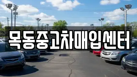 경기도 의왕시 월암동 중고차 전문 목동중고차매입센터