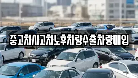 경기도 의왕시 포일동 중고차매입 전문 중고차사고차노후차량수출차량매입