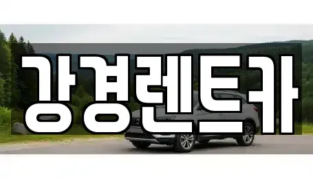 경기도 의정부시 금오동 단기렌트카 전문 강경렌트카