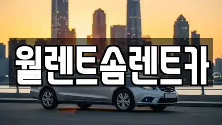 경기도 의정부시 금오동 렌트카 전문 월렌트솜렌트카
