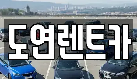 경기도 의정부시 금오동 장기렌트카 전문 도연렌트카