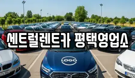 경기도 평택시 단기렌트카 전문 센트럴렌트카 평택영업소