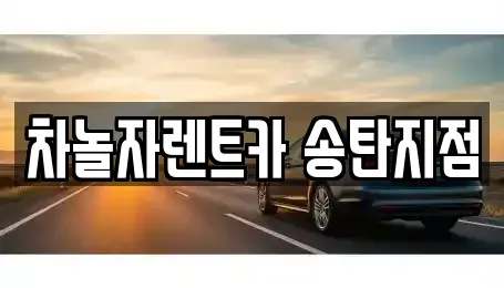 경기도 평택시 단기렌트카 전문 차놀자렌트카 송탄지점