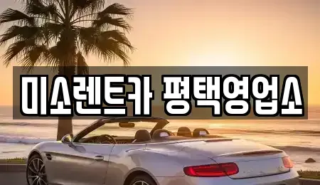 경기도 평택시 렌트카 전문 미소렌트카 평택영업소