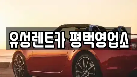 경기도 평택시 렌트카 전문 유성렌트카 평택영업소