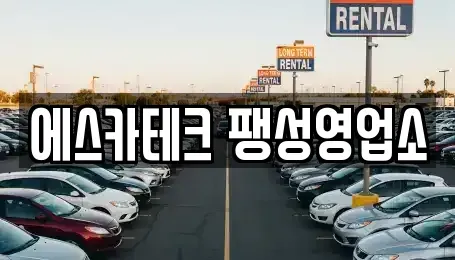 경기도 평택시 소사동 렌트카 전문 에스카테크 팽성영업소