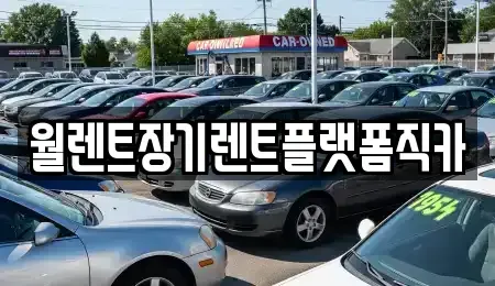 경기도 평택시 소사동 장기렌트카 전문 월렌트장기렌트플랫폼직카