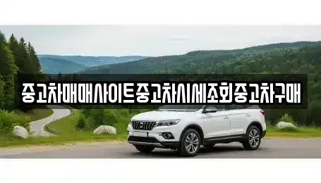 경기도 평택시 소사동 중고차매매 전문 중고차매매사이트중고차시세조회중고차구매