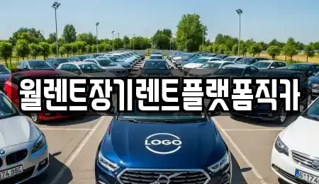 경기도 평택시 장기렌트카 전문 월렌트장기렌트플랫폼직카
