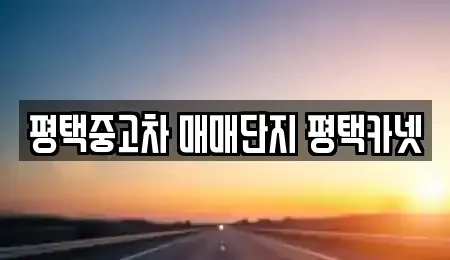 경기도 평택시 중고차매매,단기렌트카,중고차매입,장기렌트카,중고차,렌트카