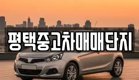 경기도 평택시 중고차매매 전문 평택중고차매매단지