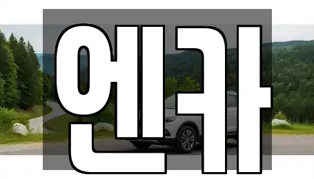 경기도 하남시 초이동 렌트카 전문 엔카