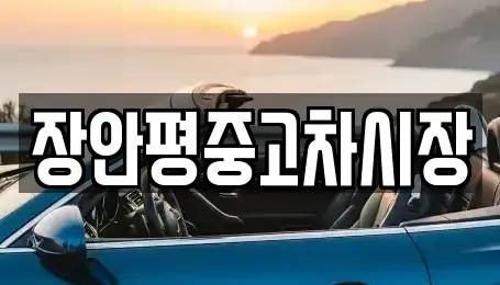경기도 하남시 초이동 중고차 전문 장안평중고차시장