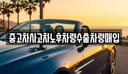 경기도 하남시 초이동 중고차 전문 중고차사고차노후차량수출차량매입