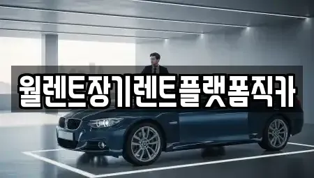 경기도 하남시 하산곡동 렌트카 전문 월렌트장기렌트플랫폼직카