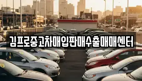 경기도 하남시 하산곡동 중고차매입 전문 김프로중고차매입판매수출매매센터