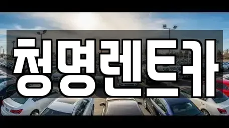 경기도 화성시 기산동 단기렌트카 전문 청명렌트카