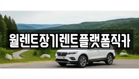 경기도 화성시 안녕동 장기렌트카 전문 월렌트장기렌트플랫폼직카