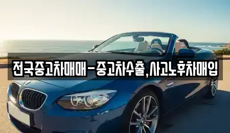 경남 거제시 아양동 중고차 전문 전국중고차매매-중고차수출,사고노후차매입