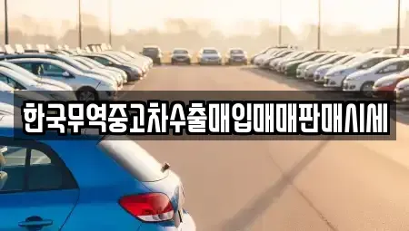 경남 거창군 거창읍 중고차매입 전문 한국무역중고차수출매입매매판매시세