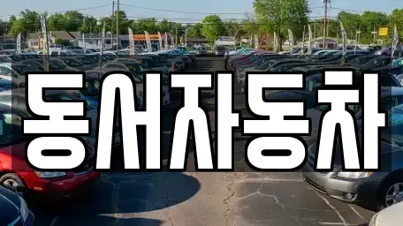 경남 고성군 영현면 중고차매매 전문 동서자동차