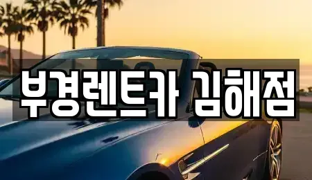경남 김해시 구산동 렌트카 전문 부경렌트카 김해점