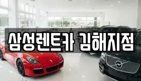 경남 김해시 구산동 렌트카 전문 삼성렌트카 김해지점