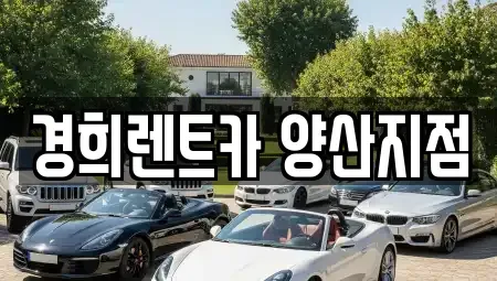 경남 양산시 용당동 렌트카,단기렌트카,장기렌트카,중고차,중고차매매,중고차매입