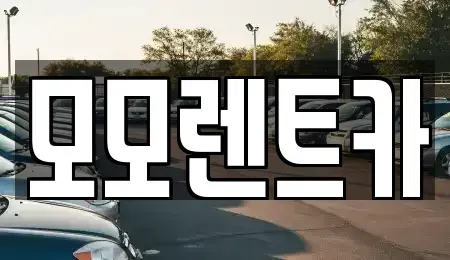 경남 양산시 용당동 렌트카 전문 모모렌트카