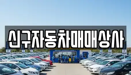 경남 양산시 중부동 중고차 전문 신구자동차매매상사