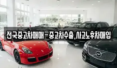경남 양산시 중부동 중고차 전문 전국중고차매매-중고차수출,사고노후차매입