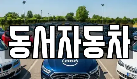 경남 진주시 수곡면 단기렌트카,중고차매입,중고차매매,중고차,렌트카,장기렌트카